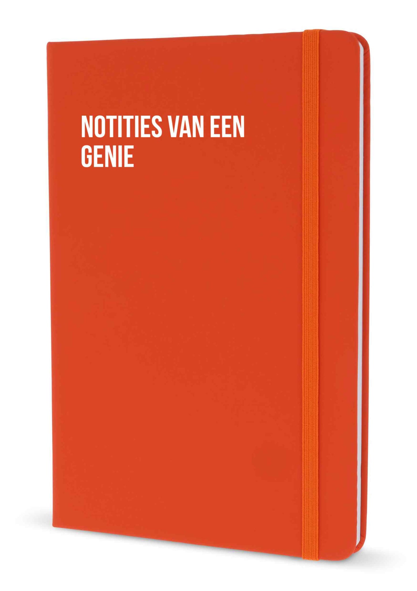 Notitieboek - Notities van een genie