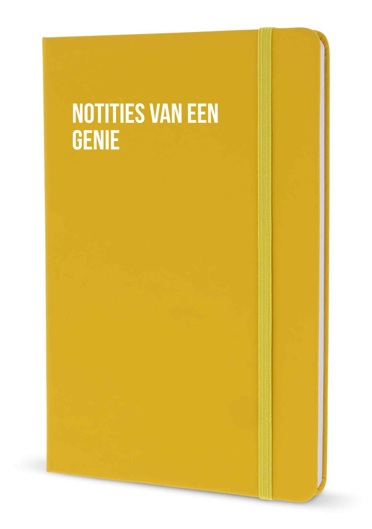Notitieboek - Notities van een genie