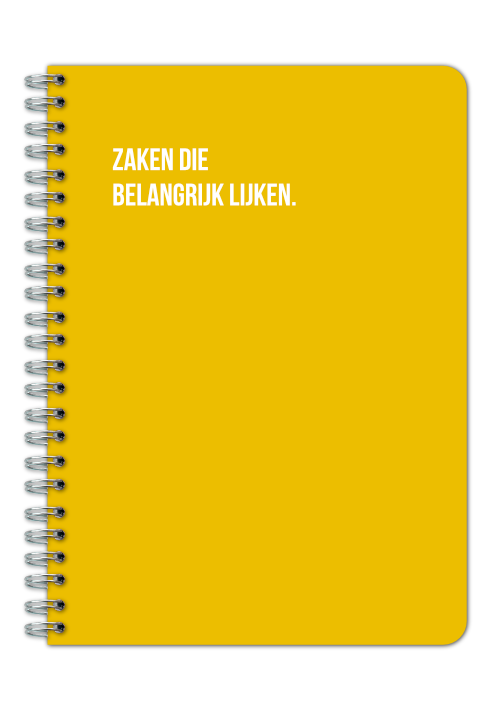 Zaken die belangrijk lijken